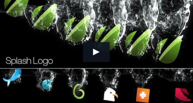 Splash Logo Template