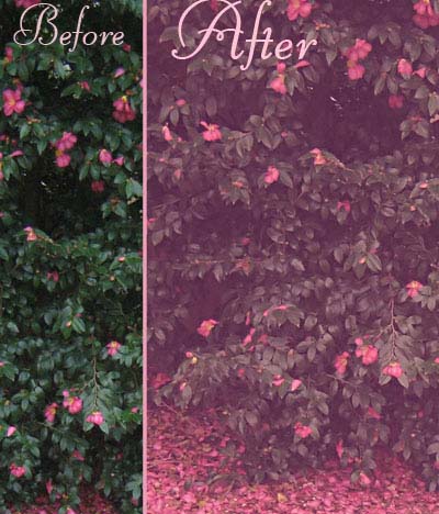 vintage photoshop actions