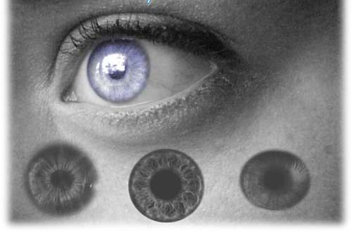 photoshop eye brushes