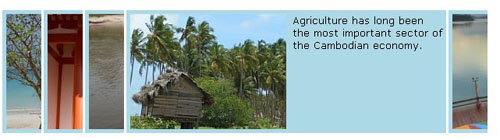 jQuery Accordion Plugins and Tutorials