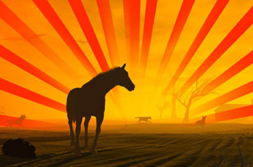 photoshop sunburst brushes