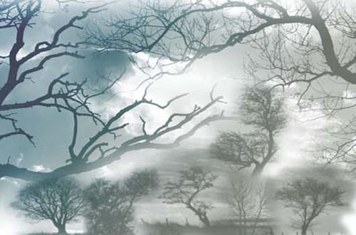 photoshop tree brushes