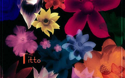 photoshop flower brushes