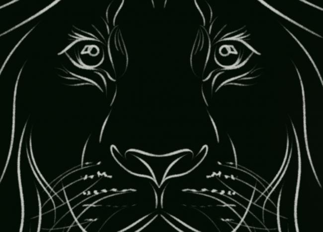 Premium pencil brush set