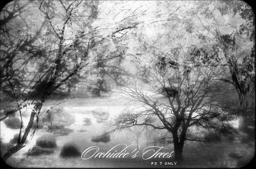 photoshop tree brushes