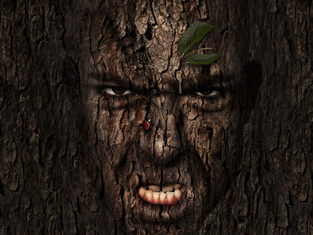 best photoshop tutorials of 2011