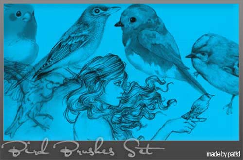photoshop birds brushes