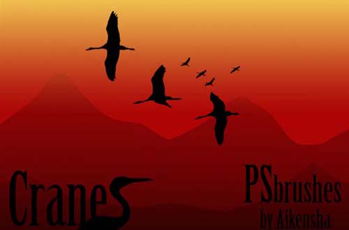 photoshop birds brushes
