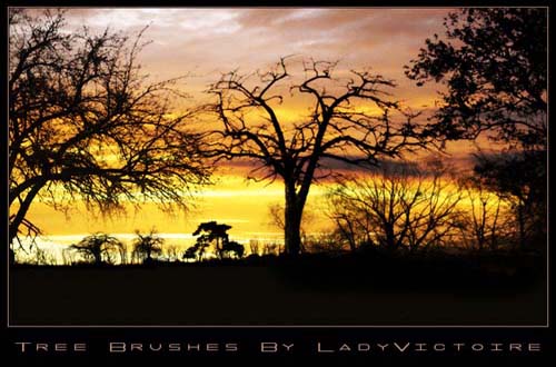 photoshop tree brushes