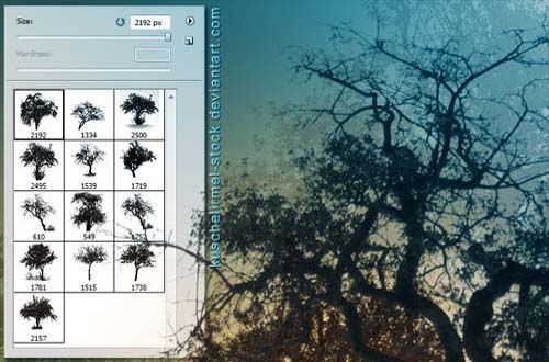 photoshop tree brushes