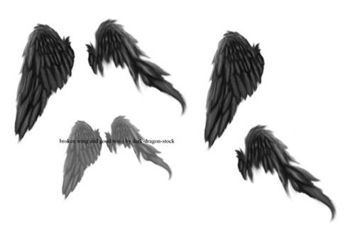 photoshop wing brushes