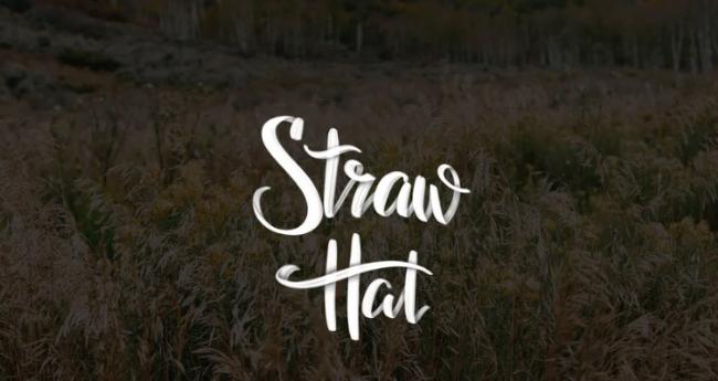 Casual summer style brush