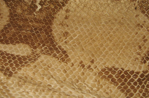 snake textures