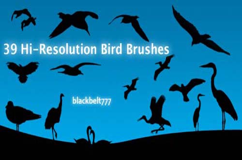 photoshop birds brushes