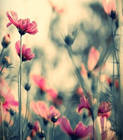 vintage photoshop actions