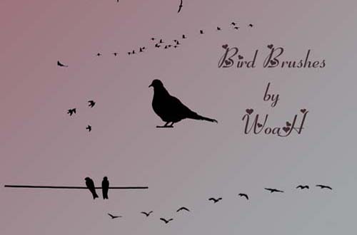 photoshop birds brushes