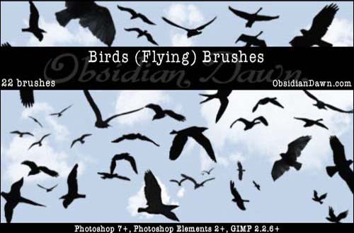 photoshop birds brushes