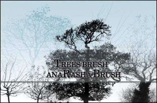 photoshop tree brushes