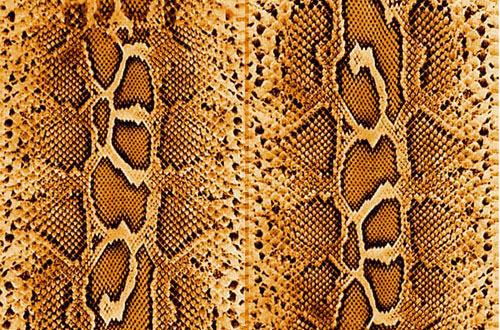 snake textures