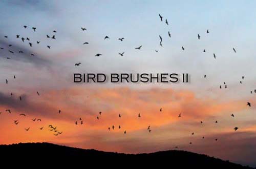 photoshop birds brushes