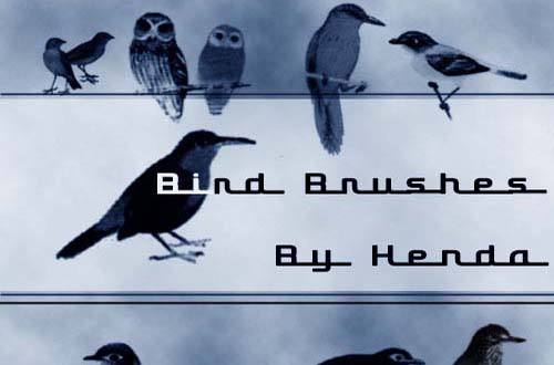 photoshop birds brushes