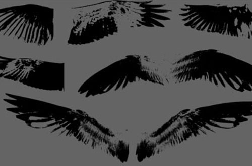 photoshop wing brushes