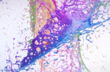 After Effects Water Logo Animation Templates