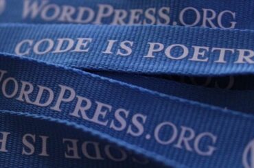 best wordpress themes