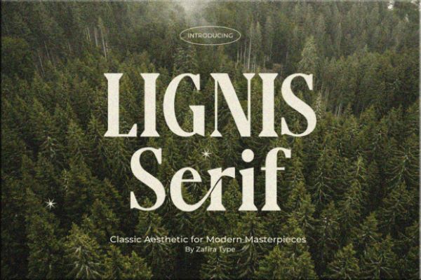 Lignis Font